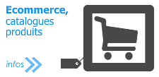 WebAgence pour faire un site ecommerce à Nort sur Erdre